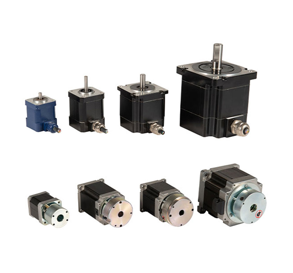 Baolong Motor Configurations and Options