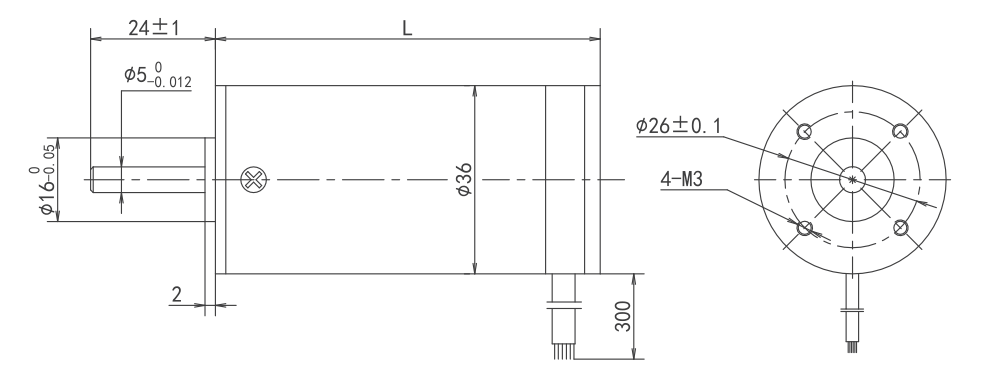 bldc high torque motor