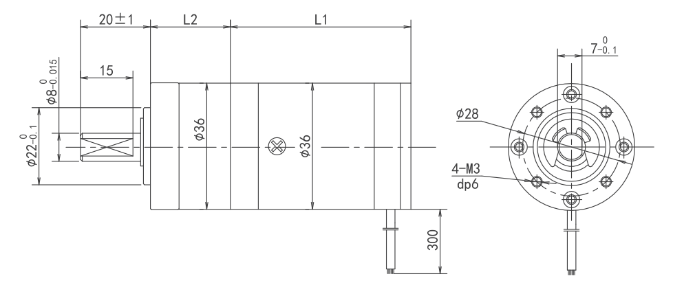 brushless planetary gear motor