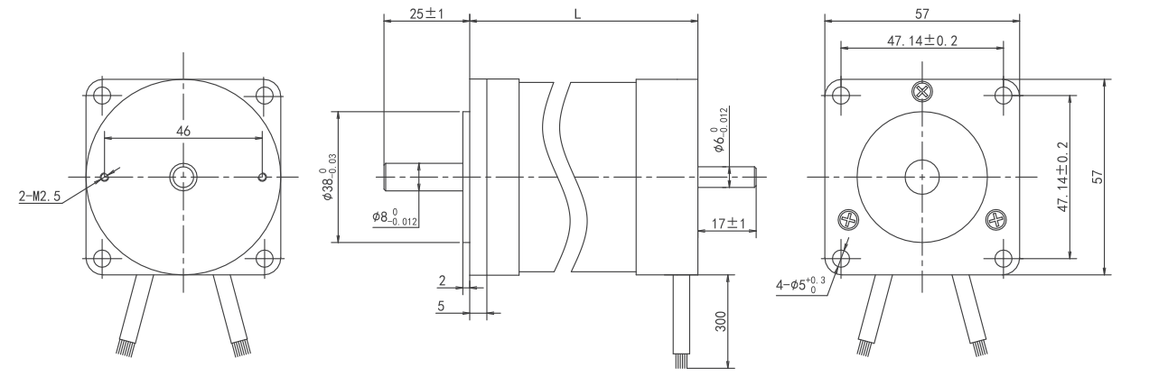high torque bldc motor