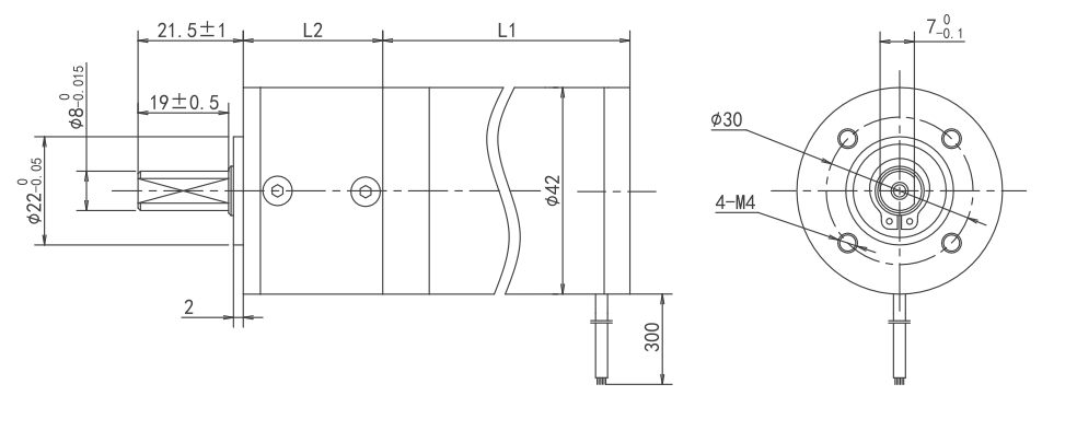 brushless motor with planetary gearbox