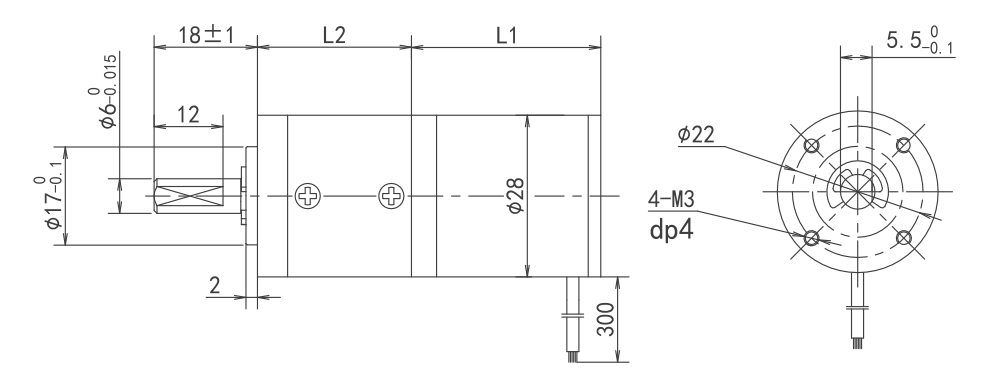 bldc planetary gear motor