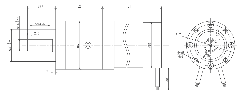 brushless motor gear