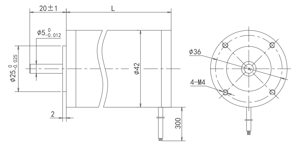 low speed bldc motor