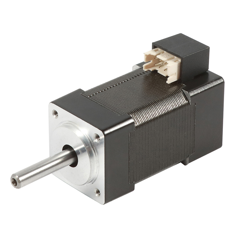 DC brushless motor